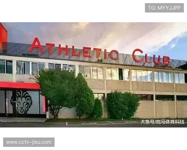 俱乐部财务公平政策下中小球队生存环境与可持续发展探析